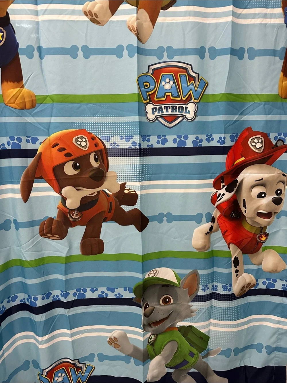 Paw Patrol Kids Shower Curtain with Blue, Green and Red Characters